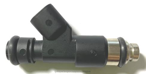 Repuestos De Motos Nicaragua 2B262113 inyector de combustible 12594512 2172436